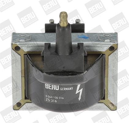 BER-ZS316