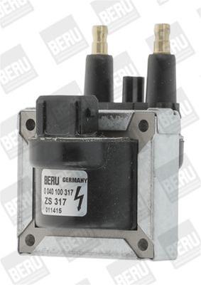 BER-ZS317