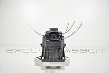 EEG-AF25