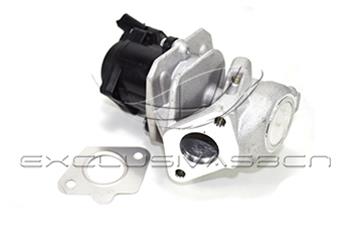 EEG-CP02