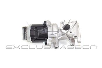 EEG-CP08