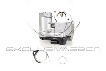 EEG-VA25