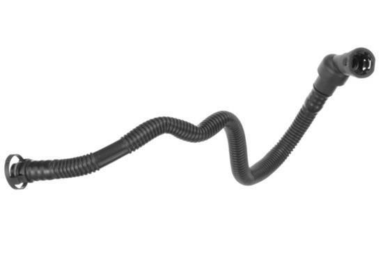 GOM-CBH0099