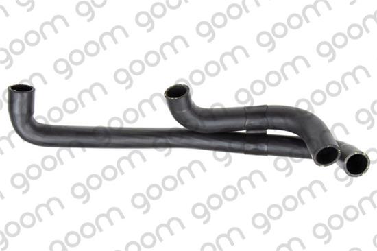 GOM-RH0969