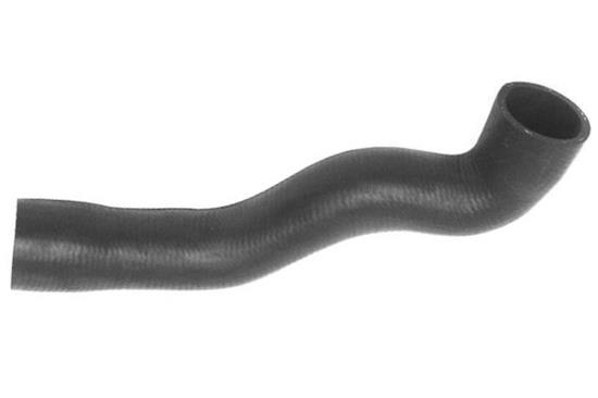 GOM-RH2699