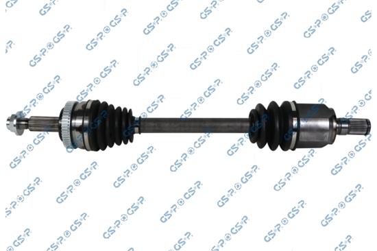 GSP-201173