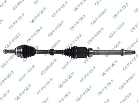 GSP-201304