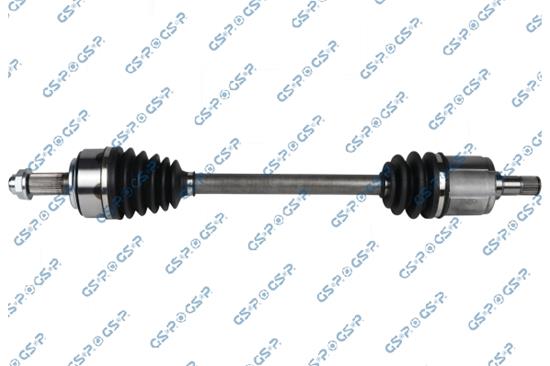 GSP-201348