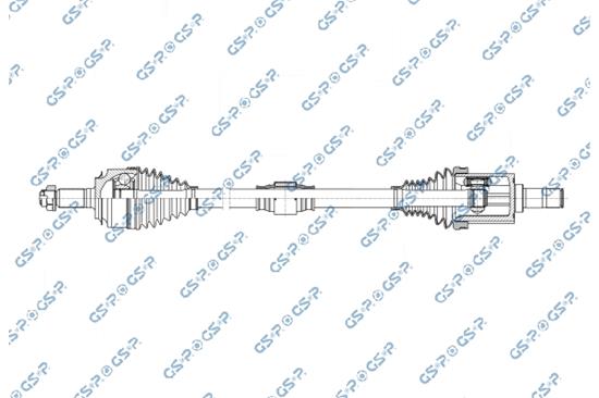 GSP-202166