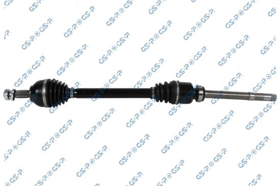 GSP-202316OL