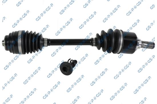 GSP-202381OL