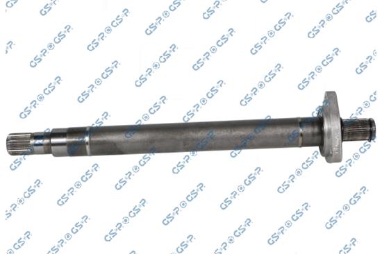 GSP-202863