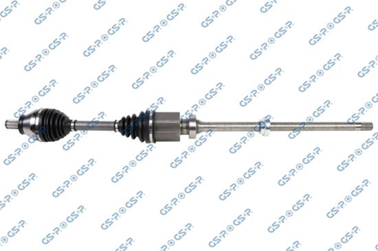 GSP-203901