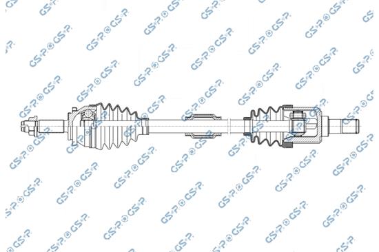 GSP-204209