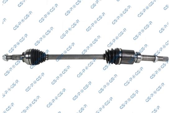 GSP-204325