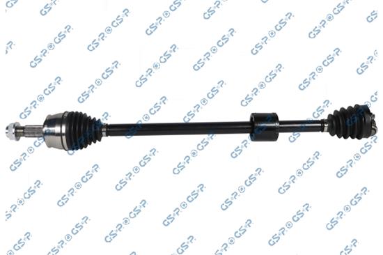 GSP-204382