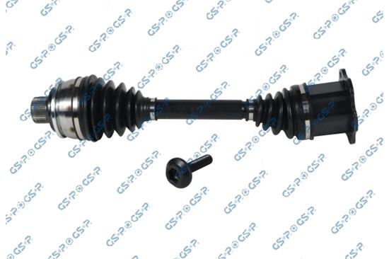 GSP-204560