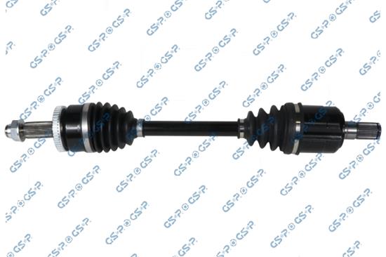 GSP-204588