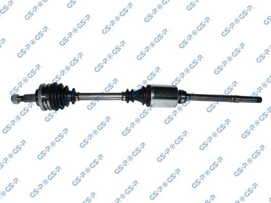 GSP-210012
