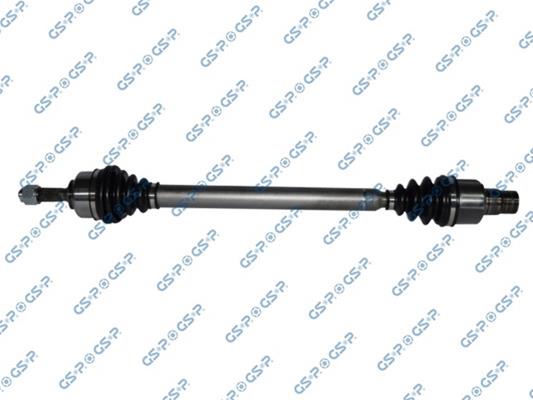 GSP-210206