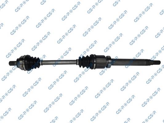 GSP-218191
