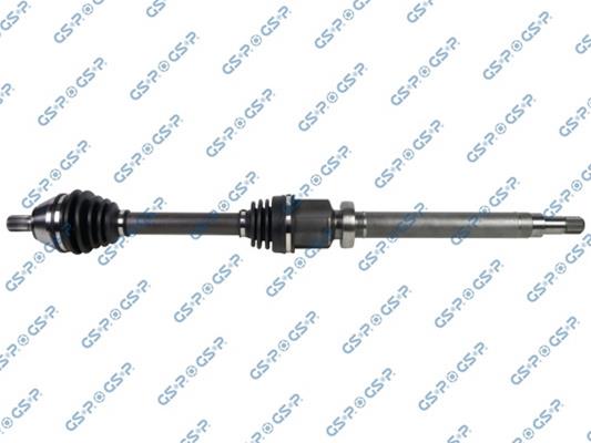 GSP-218219