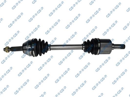 GSP-218293