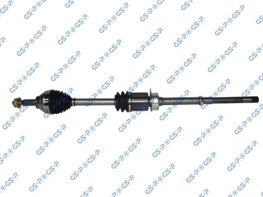 GSP-218388
