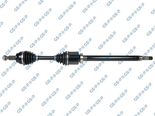GSP-218409OL