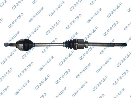 GSP-218445