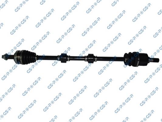 GSP-224389
