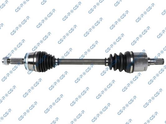 GSP-224558