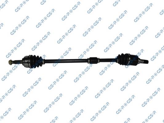 GSP-241261
