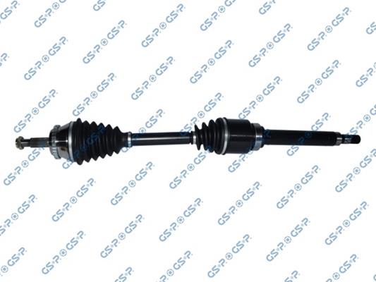 GSP-250099