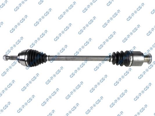 GSP-250125