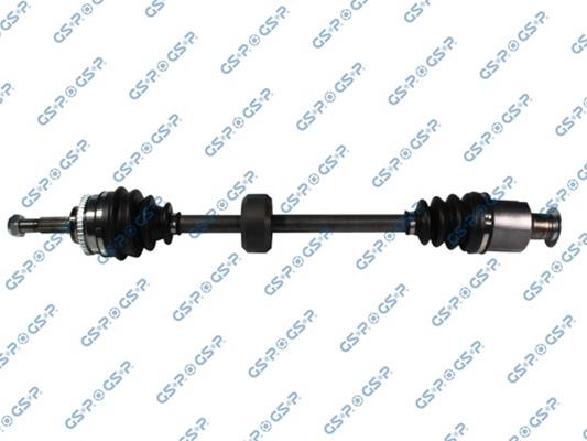 GSP-250263