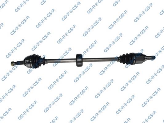 GSP-250507