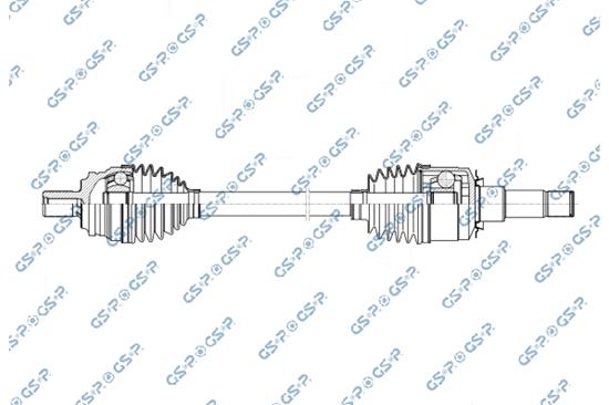 GSP-256558