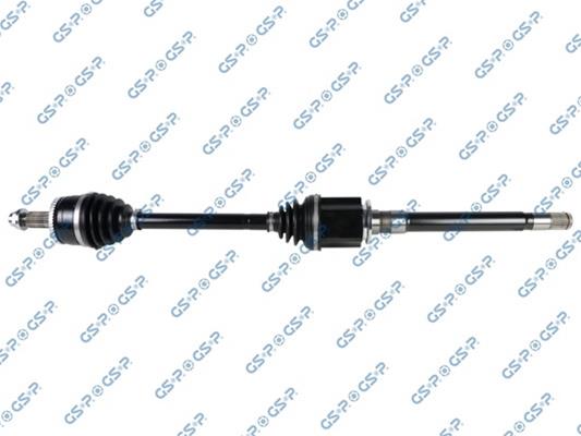 GSP-259623OL