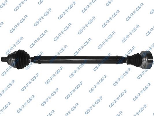 GSP-261307