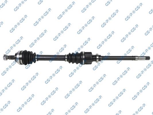 GSP-299038