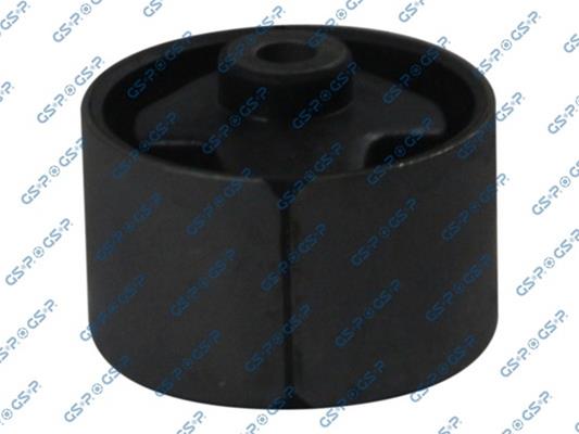 GSP-510013