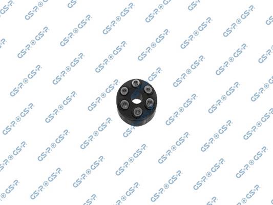 GSP-510571