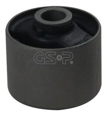GSP-512858