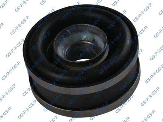 GSP-513565