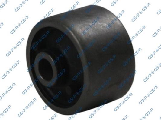 GSP-516021