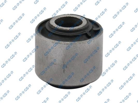 GSP-516100