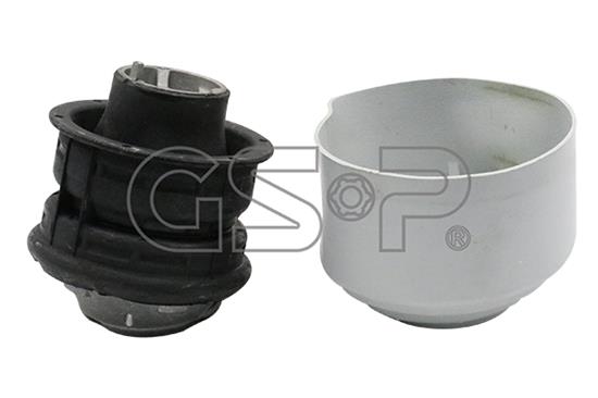 GSP-530138