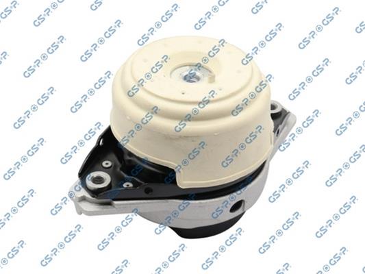 GSP-533838