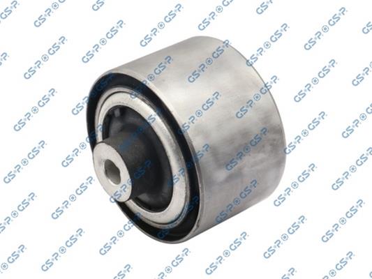 GSP-533928